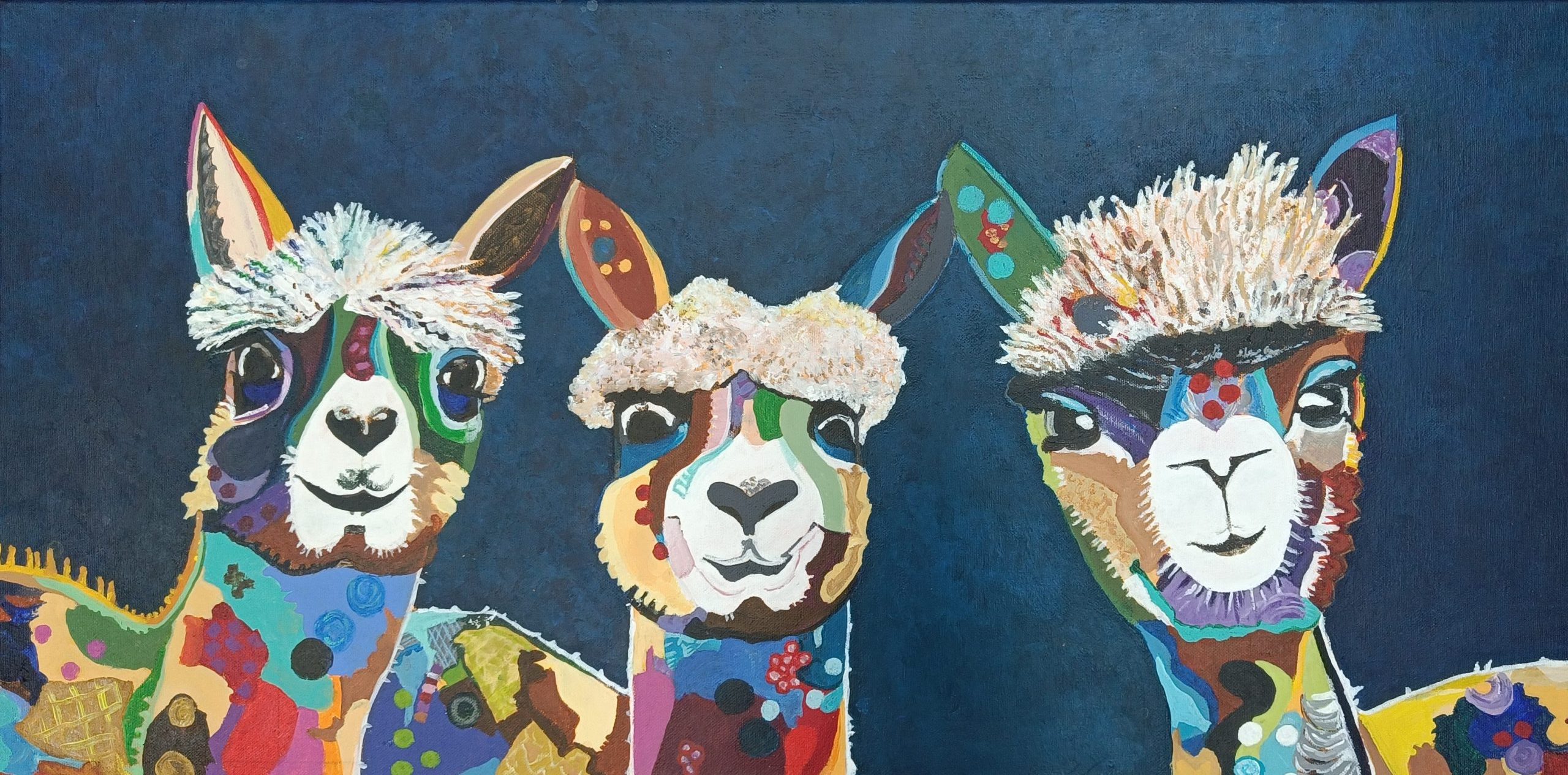 Alpaca’s door Annemarie Groen