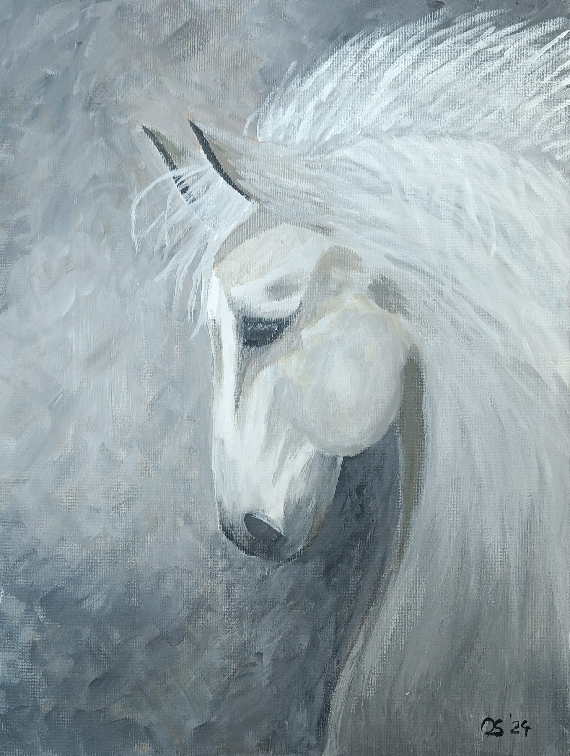 Schimmel of Paard – Olga Seppen